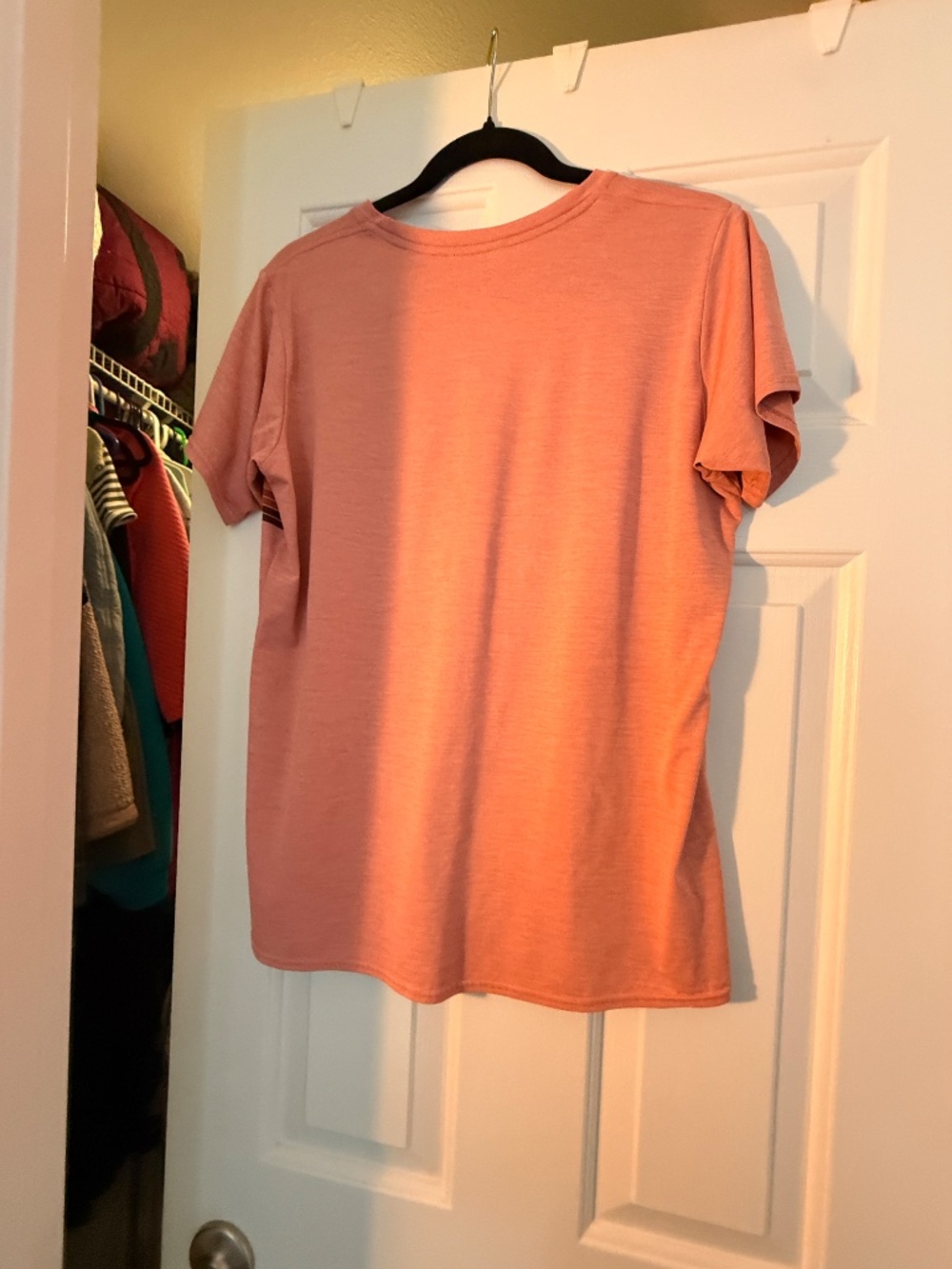 Patagonia Capilene Cool Daily Graphic T-Shirt - Women's LARGE PINK - Picture 2 of 6